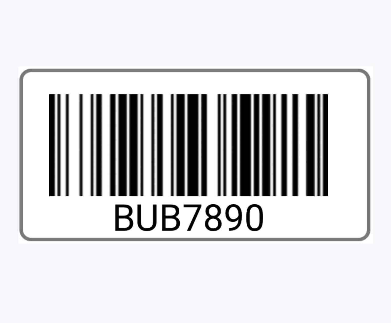 Go to image 1